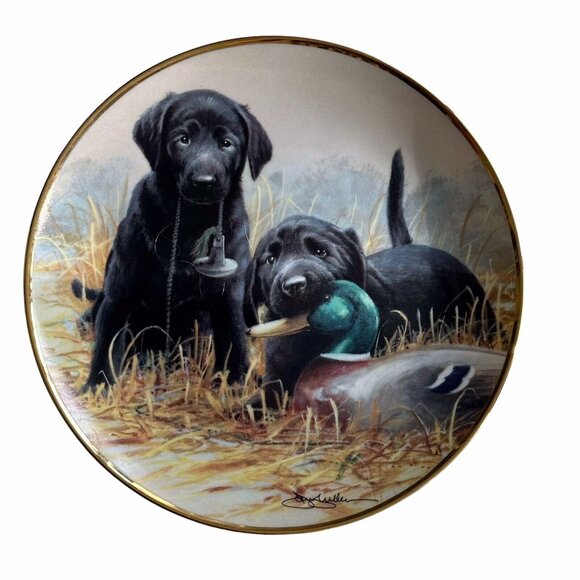 Franklin Mint 1991 Beginners Luck Labradors Porcelain Plate Collectible Vintage - Picture 1 of 6